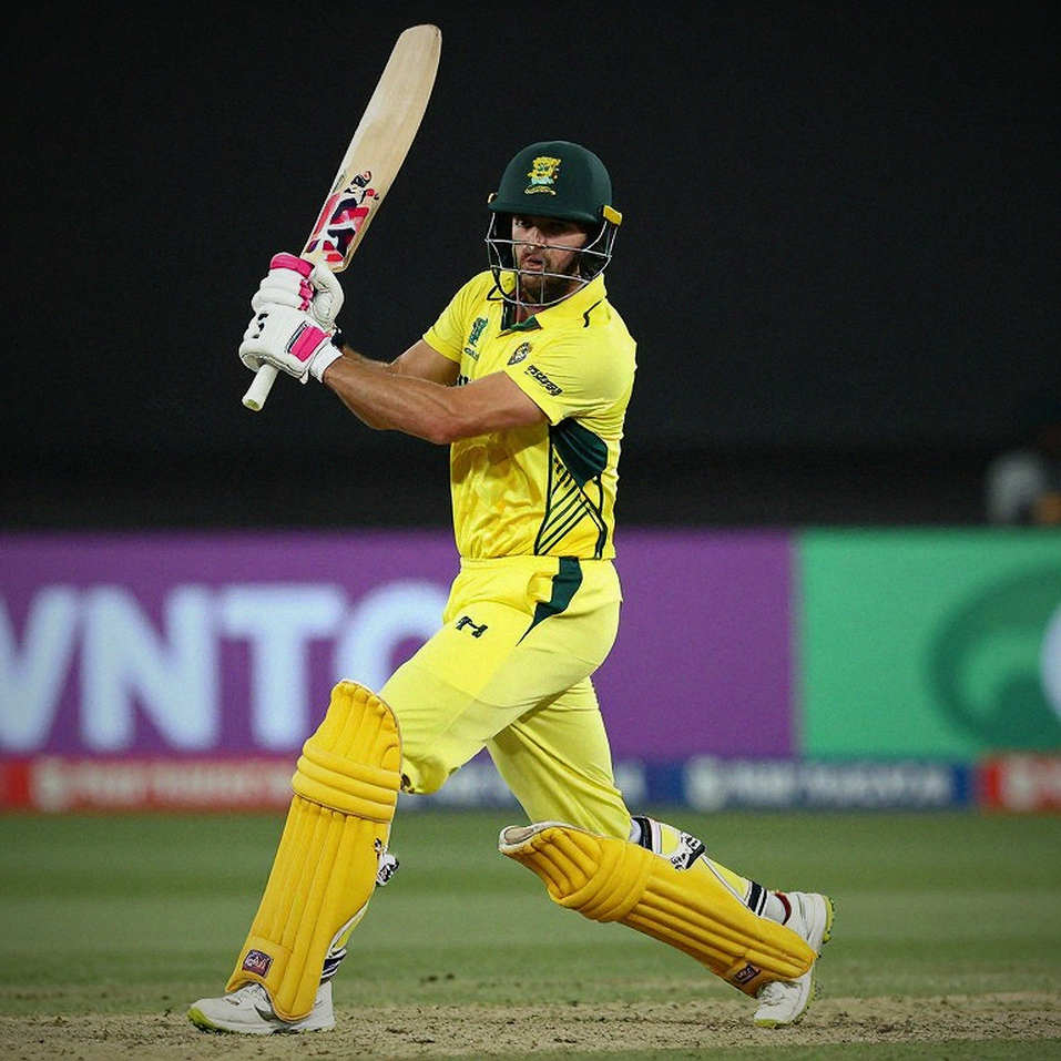 The Cricket Analysis That Contained No Cricket At All
